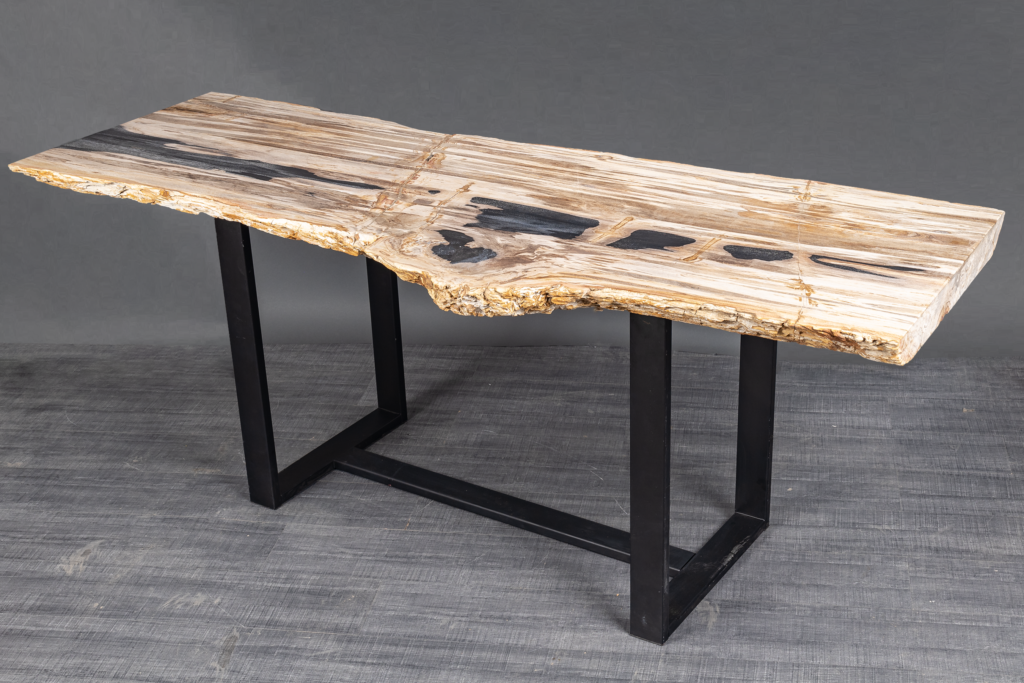 Petrified Wood Console Table - Pietra Gallery