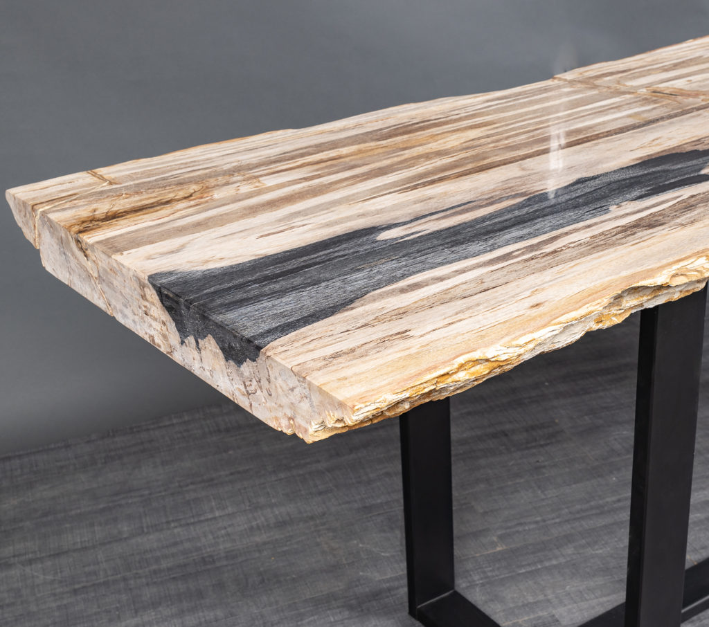 Petrified Wood Console Table - Pietra Gallery