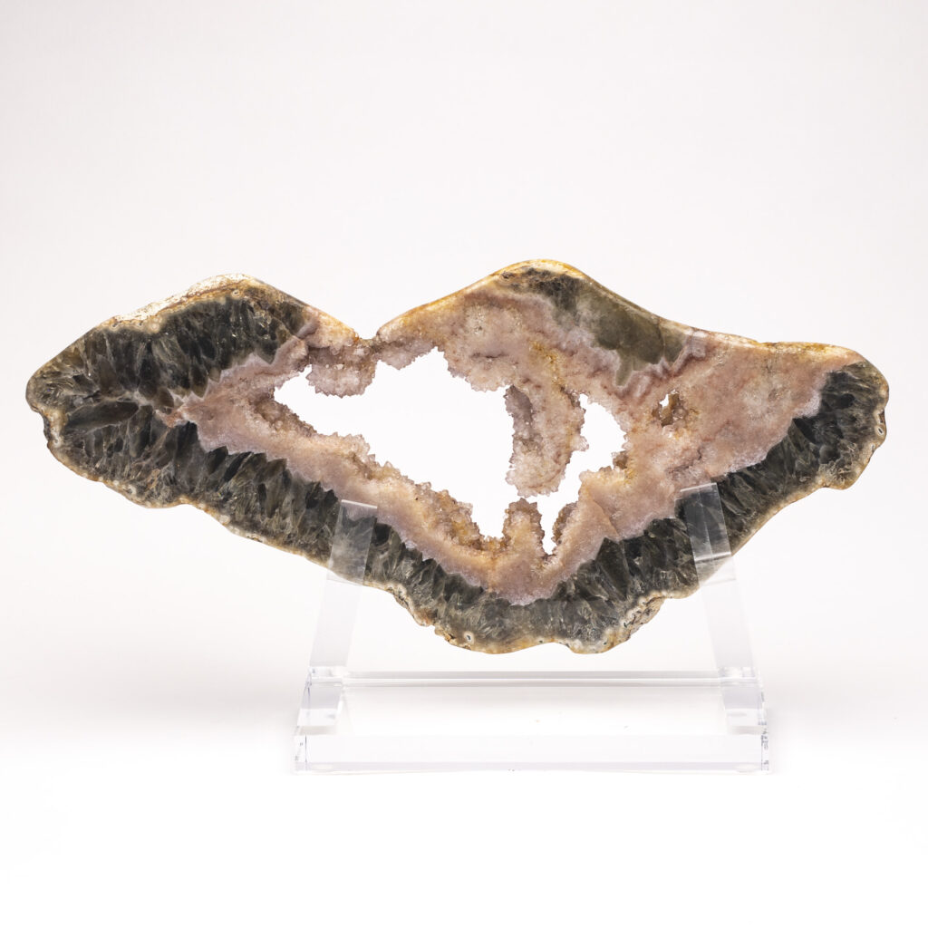 FOSSIL & MINERAL - Pietra Gallery