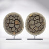 Pair of Calcite Septarian Nodule