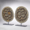 Pair of Calcite Septarian Nodule - Image 7