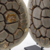 Pair of Calcite Septarian Nodule - Image 3