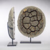 Pair of Calcite Septarian Nodule - Image 2