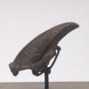 Fossil Sloth Claw - Image 3