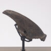 Fossil Sloth Claw - Image 2